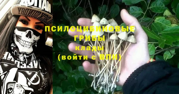 apvp Заводоуковск