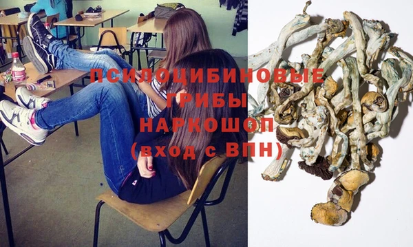 apvp Заводоуковск